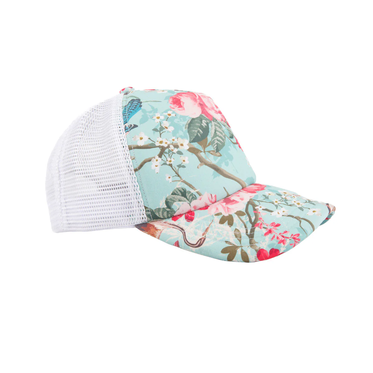 Mesh Back Cap